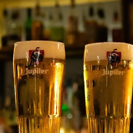 Le Sherpa Les Deux Alpes